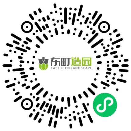 mym-xcx045 园林盆栽